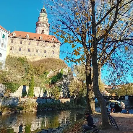 Baroko * Mojne