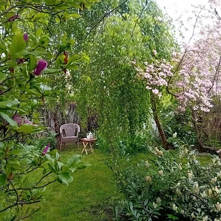 度假居 Baroko Mojne