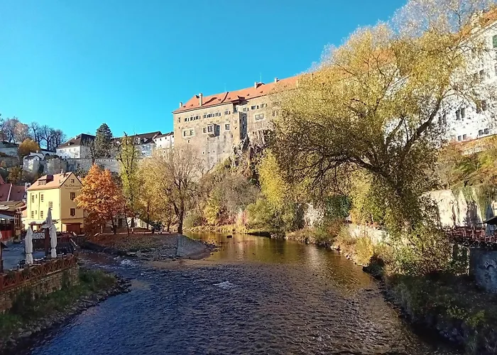 Baroko Mojne